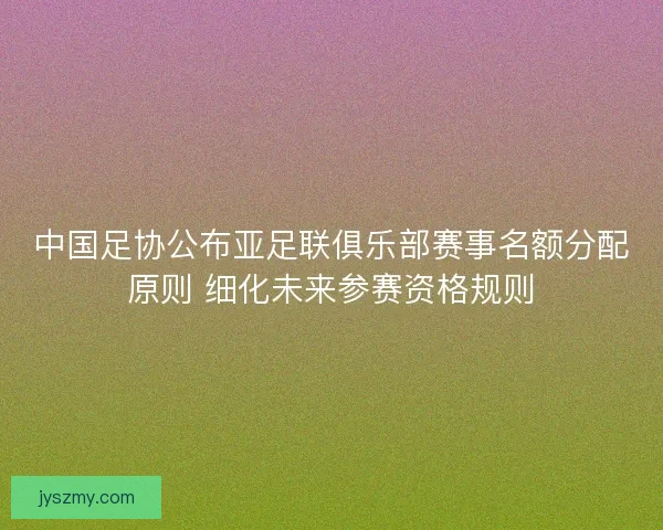 中国足协公布亚足联俱乐部赛事名额分配原则 细化未来参赛资格规则